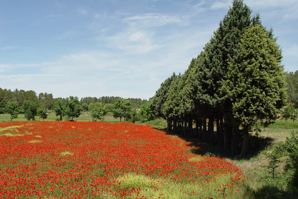 Une Campagne En Provence Bras ภายนอก รูปภาพ