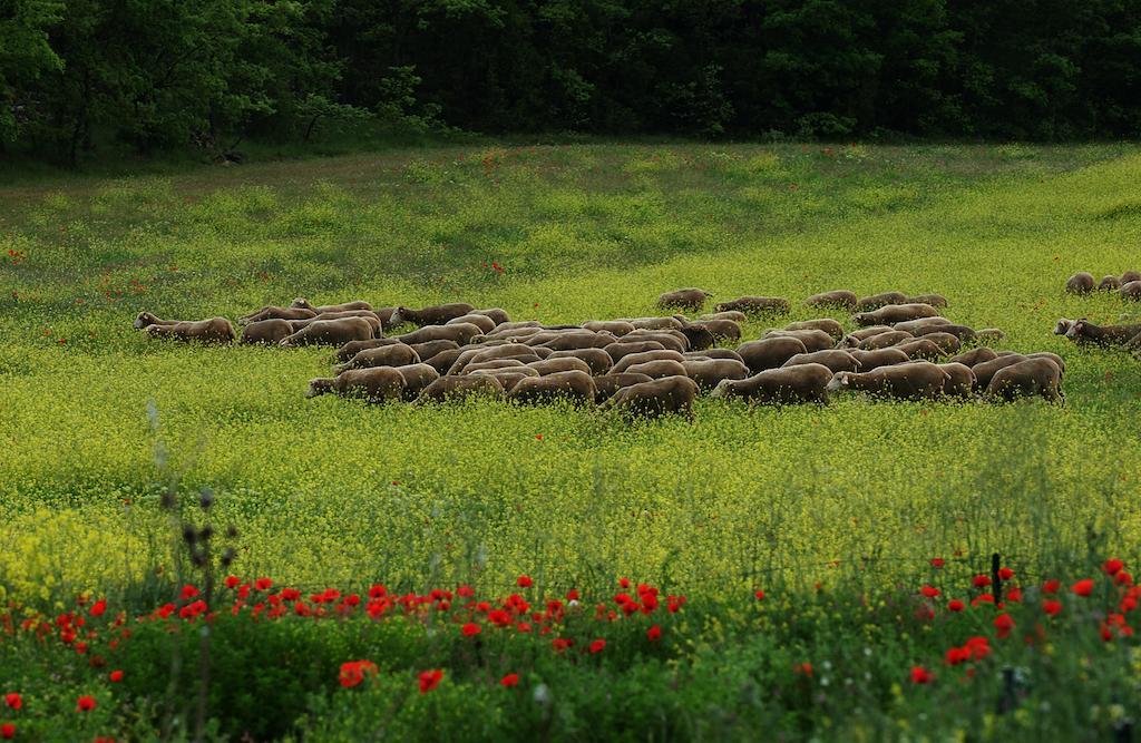 Une Campagne En Provence Bras ภายนอก รูปภาพ