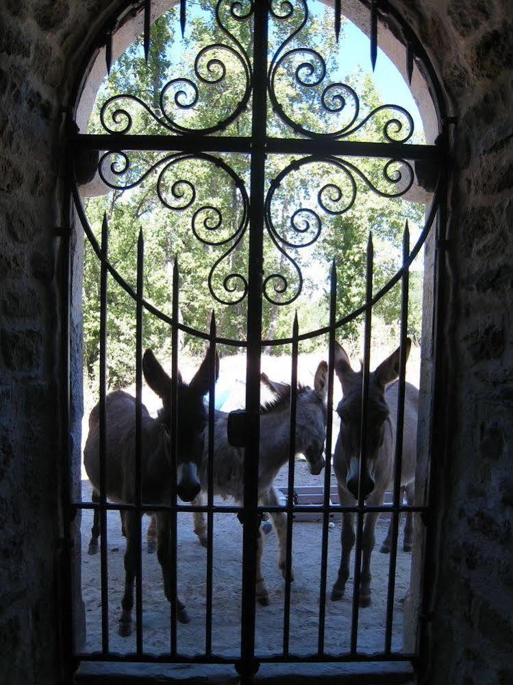 Une Campagne En Provence Bras ภายนอก รูปภาพ